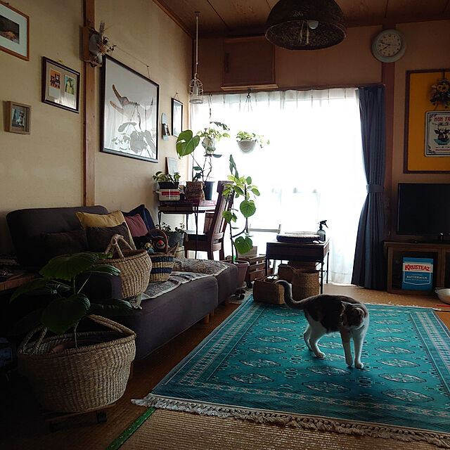 fukuのLESYPET-LESYPET ペットドア 網戸ドア 猫ドア 網戸専用 犬猫出入り口 小、中型犬用 24cm×29cmの家具・インテリア写真