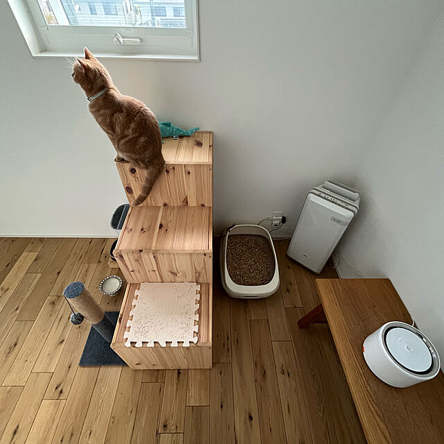 n__roomのPETKIT-PETKIT 給水器 3rd世代 ペット用 水飲み器 猫 犬 循環式 静音 三重濾過 自動パワーオフ LEDライト付き 2WAY給電 1.35L ホワイトの家具・インテリア写真
