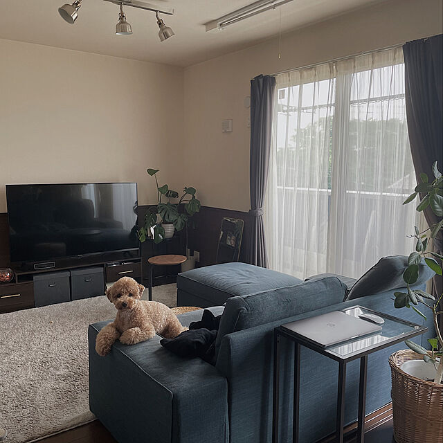 Yukinaのニトリ-布張りソファベッド(フォワード GY) の家具・インテリア写真