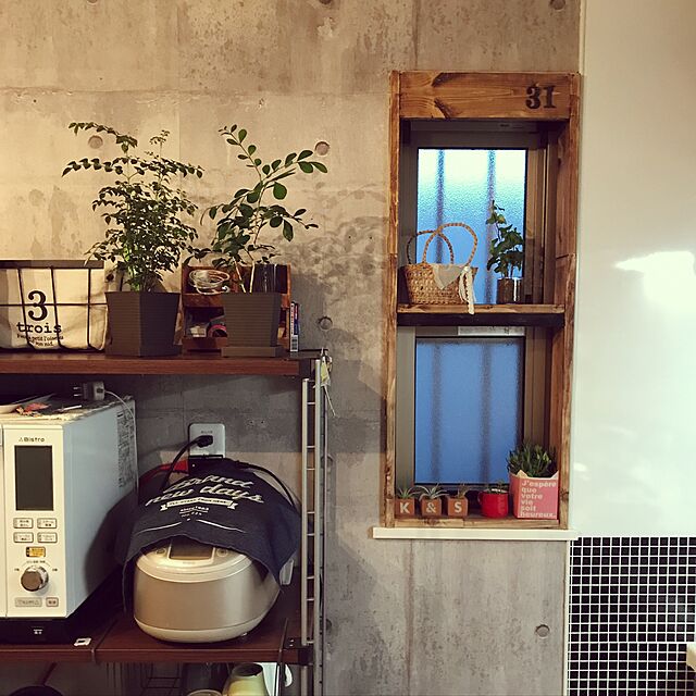 mamayuの-ミニ観葉植物シマトネリコ鉢植え（２．５号）の家具・インテリア写真