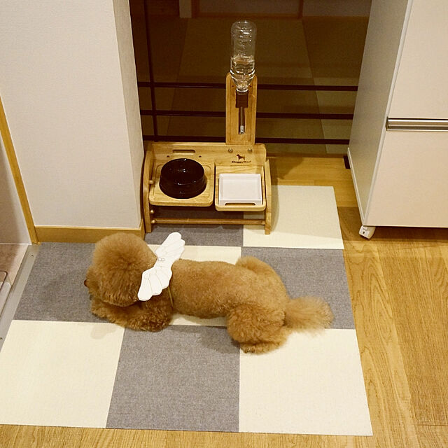 reiの-ドギーマン ウッディーコンパクトダイナー(1コ入)【ドギーマン(Doggy Man)】の家具・インテリア写真
