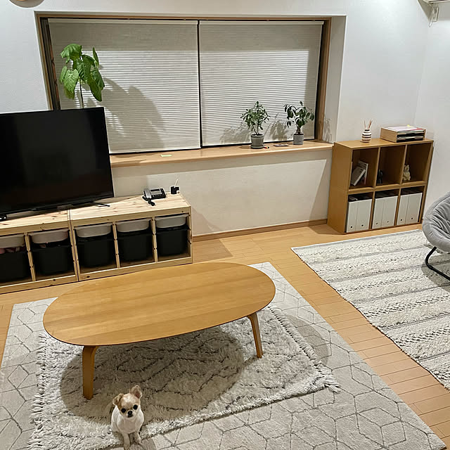 haritakaの萩原-ふかふか シャギーラグ ノア ベニワレン風の家具・インテリア写真