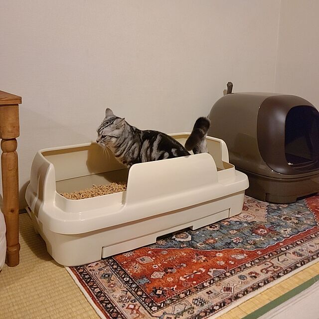 lovepeaceの花王-ニャンとも清潔トイレセット [約1か月分チップ・シート付] 猫用トイレ本体 ドームタイプ ブラウンの家具・インテリア写真