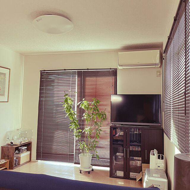 asr0319のニトリ-木目調ブラインド(MBR 165X183) の家具・インテリア写真