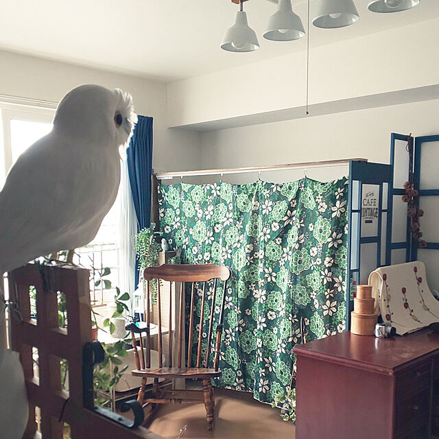 toukoの-PUEBCO　ArtificialBirds・白フクロウ C 111070 （プエブコ）の家具・インテリア写真