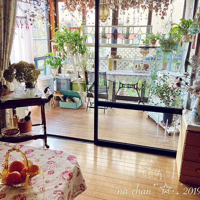 na-chanの-アガベ 滝の白糸ゲミニフローラ5号鉢の家具・インテリア写真