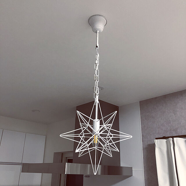 raou_vのオーブ-ペンダントライト 1灯 照明器具 星 星型 北欧 カフェ LED おしゃれ 吊り下げ 人気 長さ調整の家具・インテリア写真