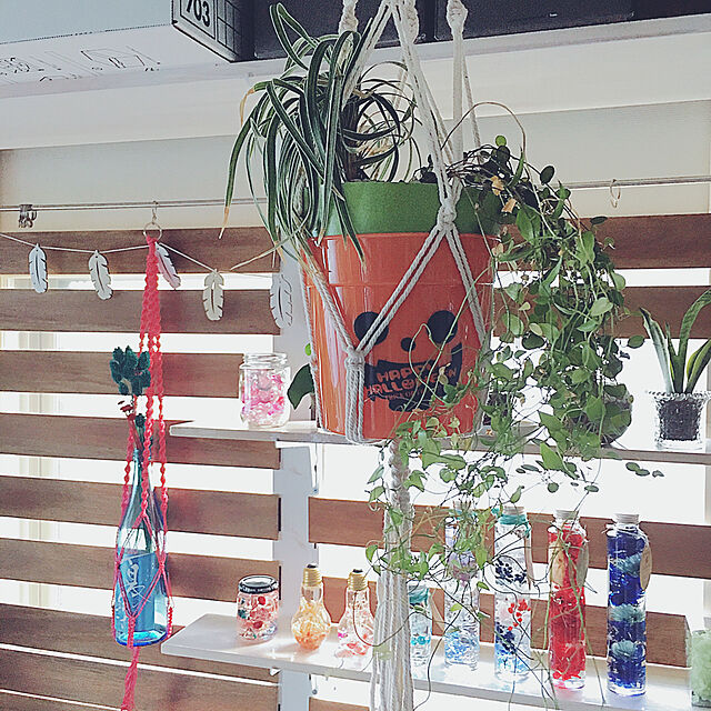 SatoshiのPChero-PChero プラントハンガー 植物ホルダー 鉄リング付き 観葉植物 プランターハンガー 4足 ナイロン ロープ スタンド ハンガー 長さ：105cm（2本セット） 吊りスタンドの家具・インテリア写真