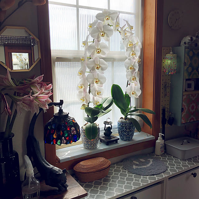 cloverのパラデック-PalaDec Octam スタンド＆ウォールミラーS パラデック オクタム　 八角形ミラー/鏡/風水の家具・インテリア写真
