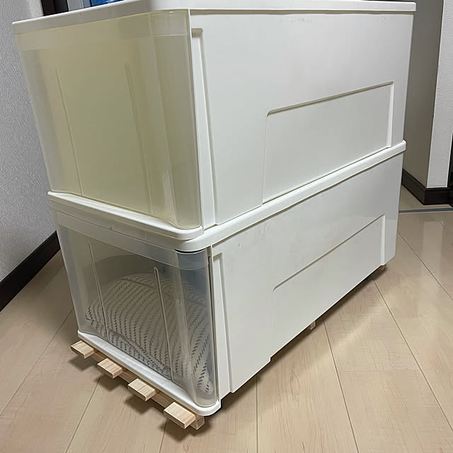 kinokoのニトリ-カーペット用テープ(T7040) の家具・インテリア写真