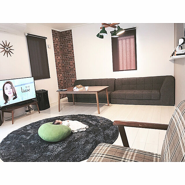 midoraaaのニトリ-ソファベッド(ボックス ヌノDBR) の家具・インテリア写真
