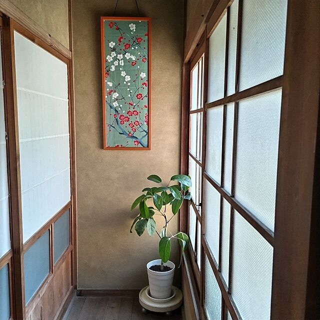 kuririnmamaの源氏-源氏 てぬぐい 7A 梅の家具・インテリア写真