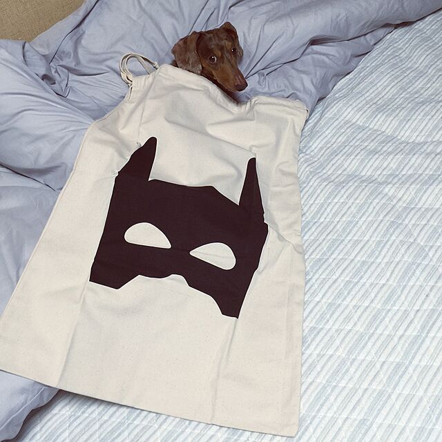 M.E.Gの-[TELLKIDDO] 布バッグFabric Bag -Superhero-の家具・インテリア写真