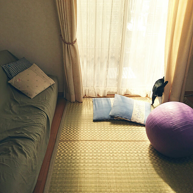 oliveのニトリ-ふっくらいぐさラグ(シュンカH 180X180) の家具・インテリア写真