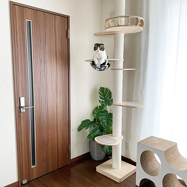 tansukeの-キャットタワー 突っ張り 木製 大型猫 おしゃれ スリム 猫タワー SUMIKA 突っ張り型木製キャットタワー (ハイエンドモデル)の家具・インテリア写真