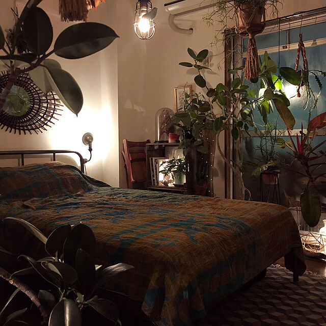 SHINPEIのThames & Hudson-Indoor Green: Living With Plantsの家具・インテリア写真
