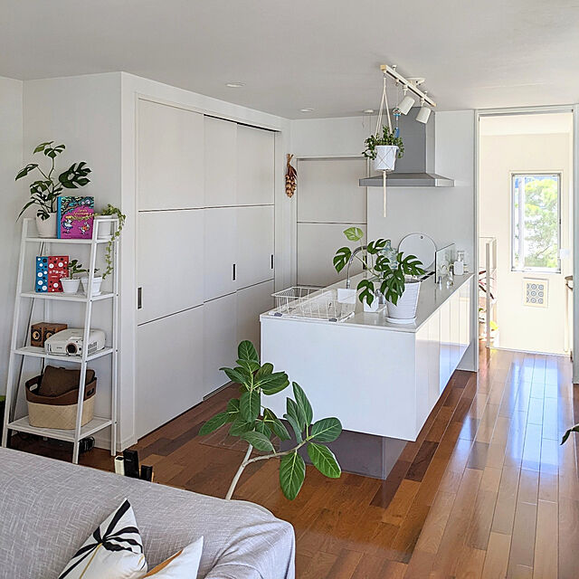 gooskaの-選べる観葉植物・鉢カバー 7号サイズの家具・インテリア写真