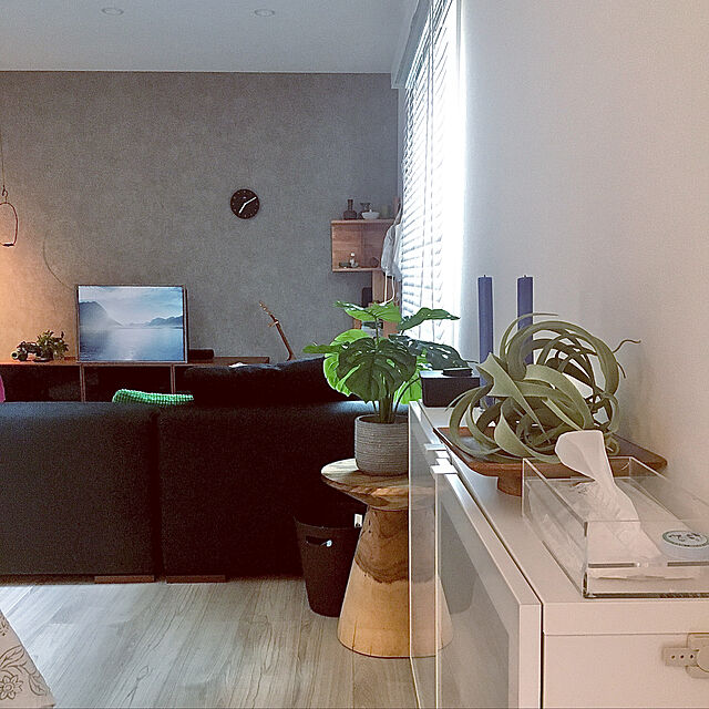 Sakkoのニトリ-14cm丸ボウルG アカシア の家具・インテリア写真