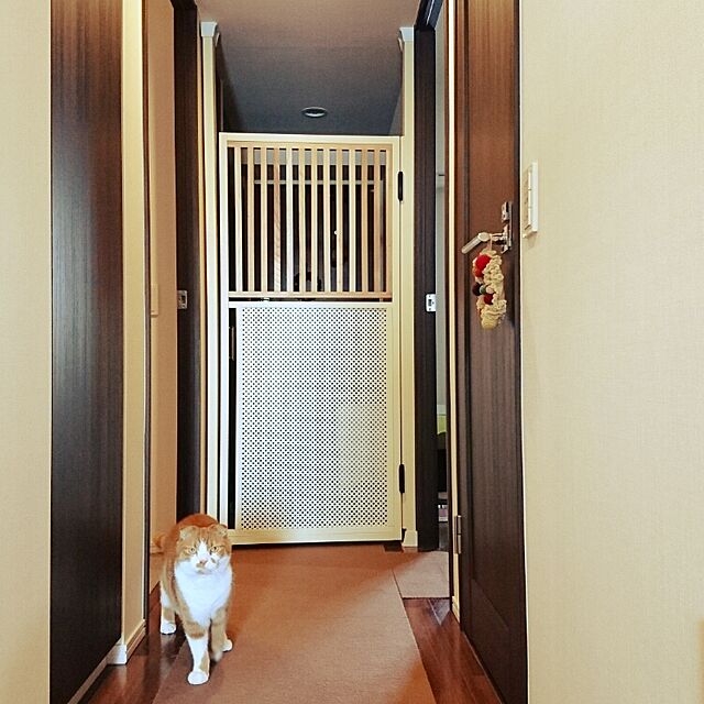 Sachiのシンワ測定-シンワ測定(Shinwa Sokutei) ブルーレベル マグネット付 300mm 76379の家具・インテリア写真