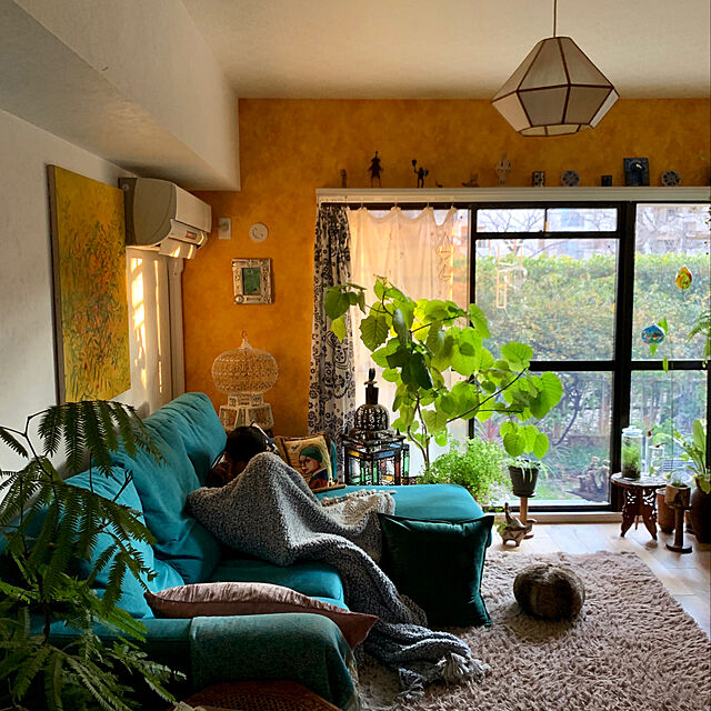 kfのニトリ-枕カバー(ベルベRO) の家具・インテリア写真