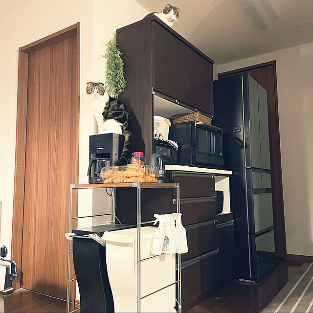 tansukeの-バルミューダ ザ・ポット<0.6L>の家具・インテリア写真