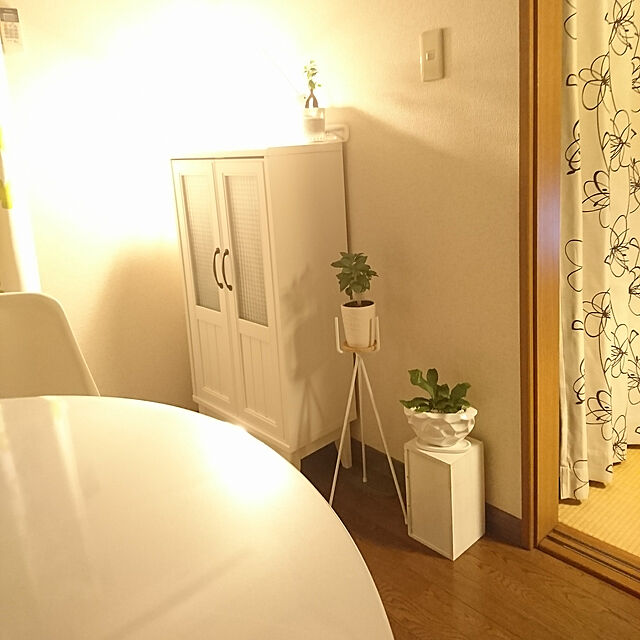 sのニトリ-FPマット(マイアミ106エンケイ)専用 の家具・インテリア写真
