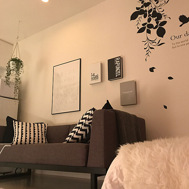 SnSの壁美人-壁美人 ラージフック 3個セットの家具・インテリア写真