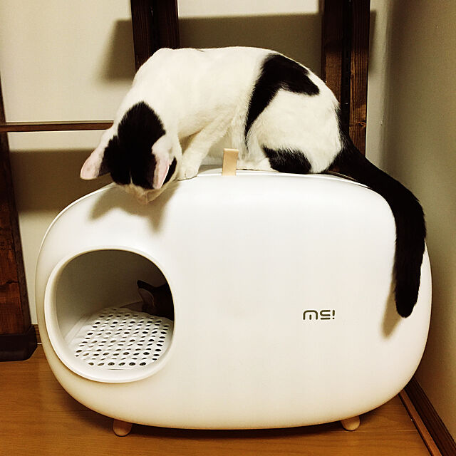nobikoのBYGO-BYGO ネコトイレ 猫用トイレ 脱臭抗菌 スペース広い 掃除簡単 砂の飛び散り防止 軽量 コンパクト (白)の家具・インテリア写真