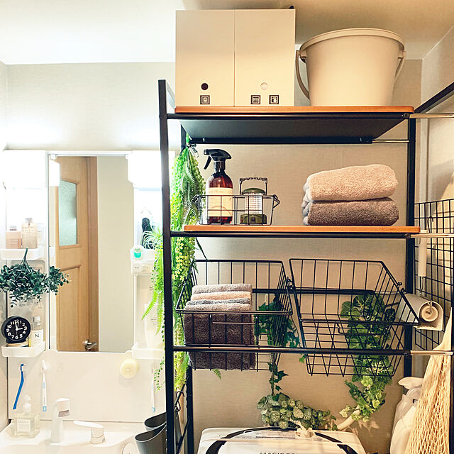 yasuyo66の-バス・トイレ用合成洗剤 マーチソン・ヒューム ボーイズバスルームクリーナー 480ml ホワイトグレープフルーツの香りの家具・インテリア写真