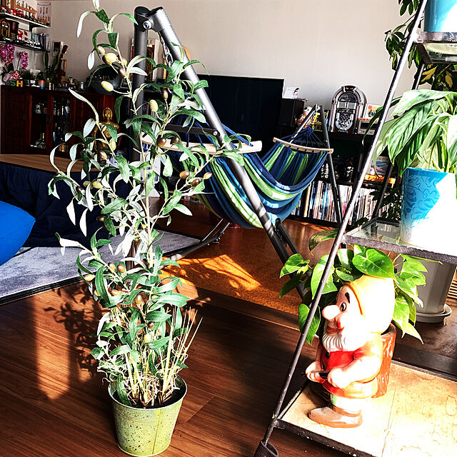 tsurumokuの-観葉植物 光触媒 フェイクグリーン 「オリーブツリーグラスバケット」ＨＡＧの家具・インテリア写真