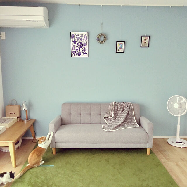 Yの-シンプルソファーの家具・インテリア写真