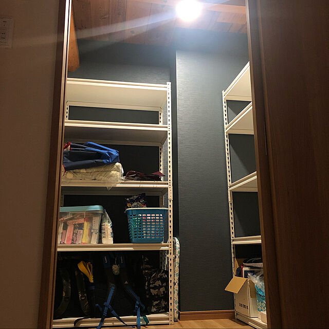 orihimeの-スチールラック スチール棚 業務用 ラック 収納棚 幅87.5 収納ラック 5段 おしゃれ メタルシェルフ STR-9001 アイリスプラザ 一人暮らしの家具・インテリア写真