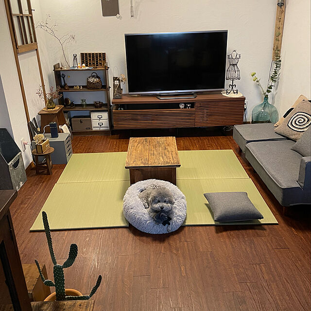 meguko.ryanのセルタン-コンパクト カウチソファ「NAP」の家具・インテリア写真