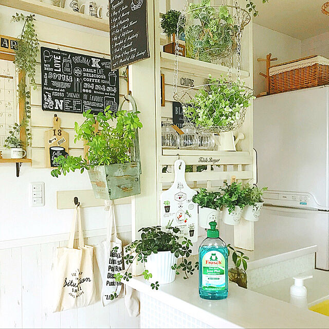 yumimaruの-フロッシュ食器用洗剤重曹プラス（300ml）の家具・インテリア写真