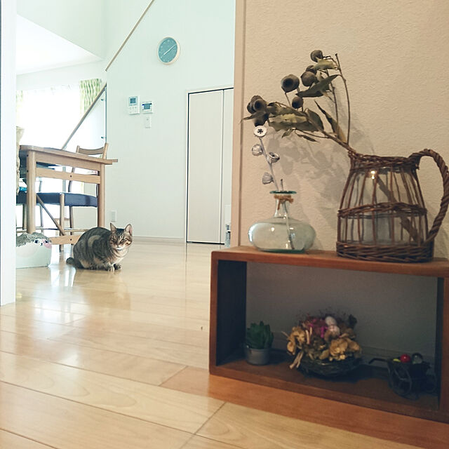 yumikanaの-【販売期間9/30まで】SALA（サラ サーラ）ダイニングテーブル 幅140 168 【rp01】【送料無料】※幅が選べます(お値段は異なります)の家具・インテリア写真