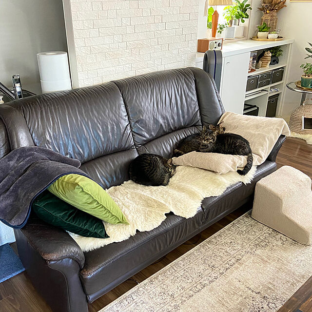 kouのEHEYCIGA-EHEYCIGA 犬階段 2段 ベージュ ドッグステップ ペット階段 滑り止め付き 小型犬 犬用スロープ （2段，ベージュ）の家具・インテリア写真