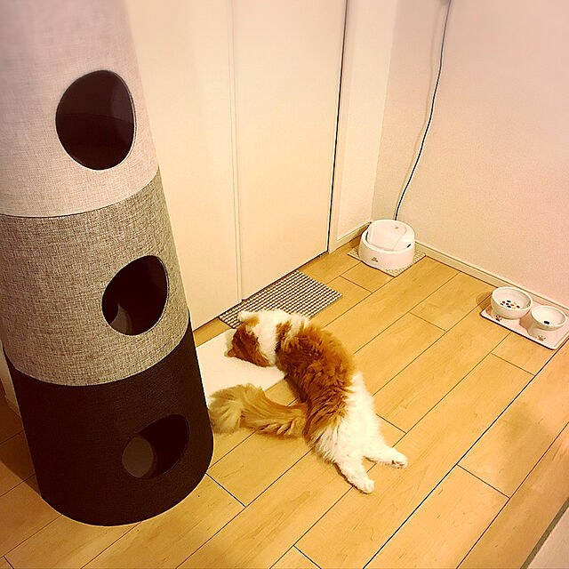 H.Tのジェックス-ピュアクリスタル クリアフロー 猫用 ホワイト(1台)の家具・インテリア写真