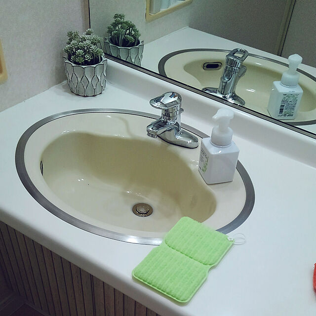 Renのサンコー-バススポンジ お風呂スポンジ 浴槽 バス 掃除 バスピカピカ グリーン サンコー sanko びっくりフレッシュの家具・インテリア写真