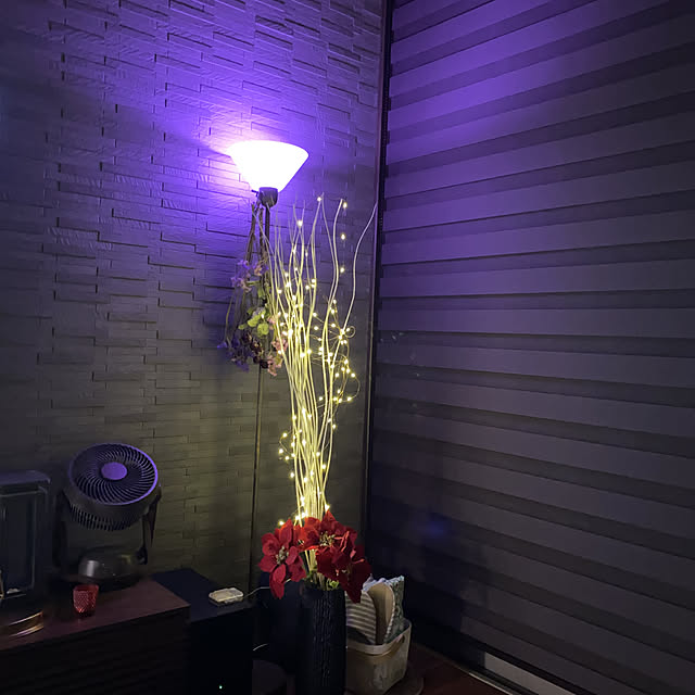 注目の福袋！ Philips Hue PLH27CS LED電球 フルカラー ブリッジ電球3