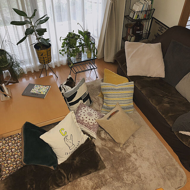 oのニトリ-長座布団(ブレイクH) の家具・インテリア写真
