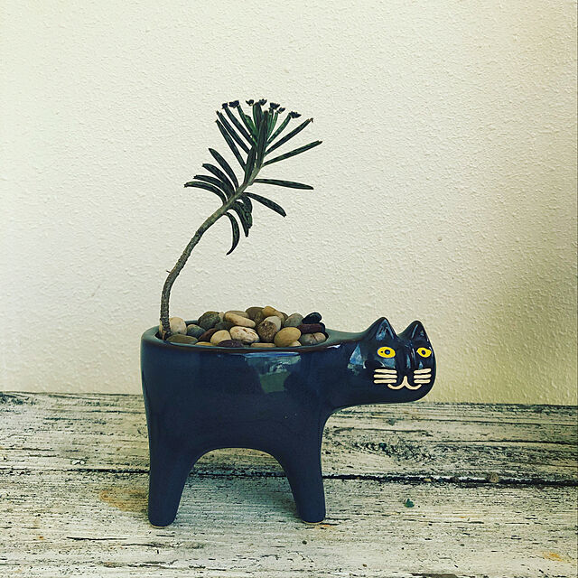 syungikuのRowna-猫プランター、セラミック動物多肉植物プランターポットギフト、セラミック植木鉢かわいい猫多肉植物プランター植物コンテナの家具・インテリア写真