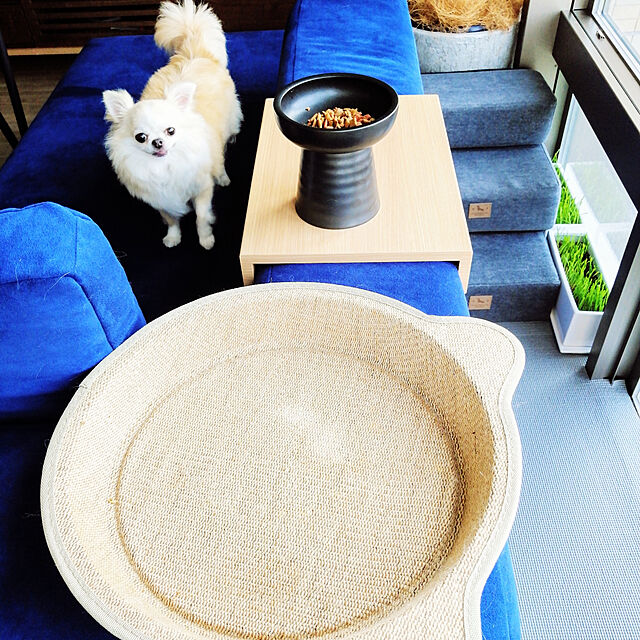 ponの大石物産-陶器鉢 植木鉢 ホワイトポット横長型 大 幅30cm×高さ15cmの家具・インテリア写真