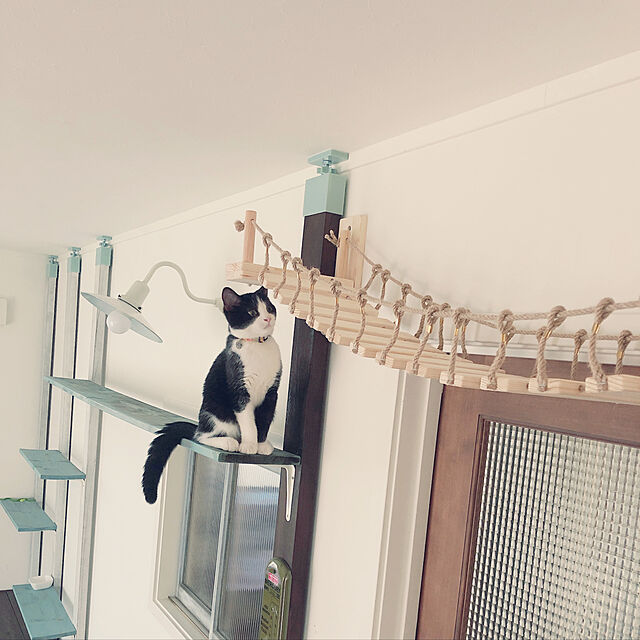 shinshinのUmora-Umoraキャットタワー 木製 吊り橋 猫ベッド 遊び場 ハンモック ストレス解消 運動不足解消 組み立て簡単（100cm）の家具・インテリア写真