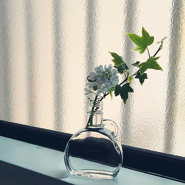 Renの-イベリス２個セット　白い花　宿根草　ガーデニングの家具・インテリア写真