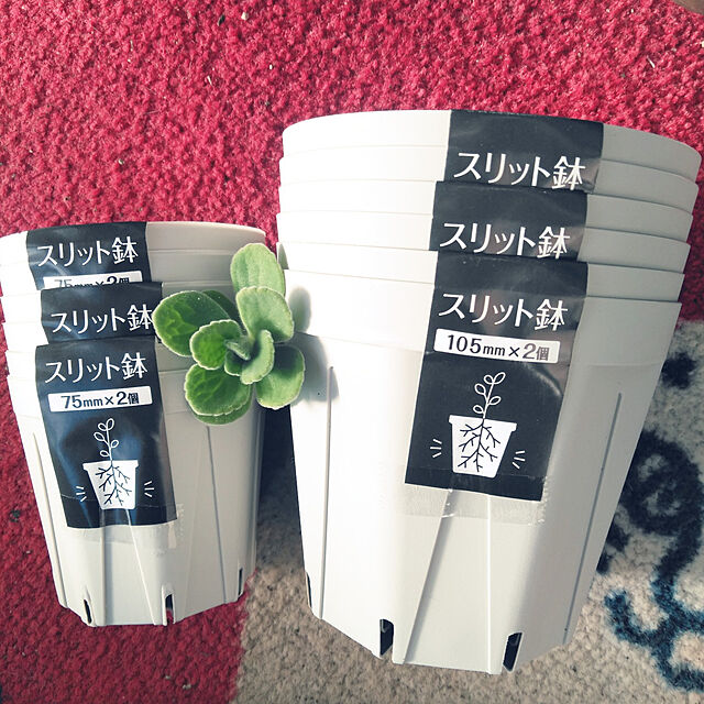 futukoのクリーンテックス・ジャパン-玄関マット WELCOME MAT 60×90cm ［全5デザイン］の家具・インテリア写真