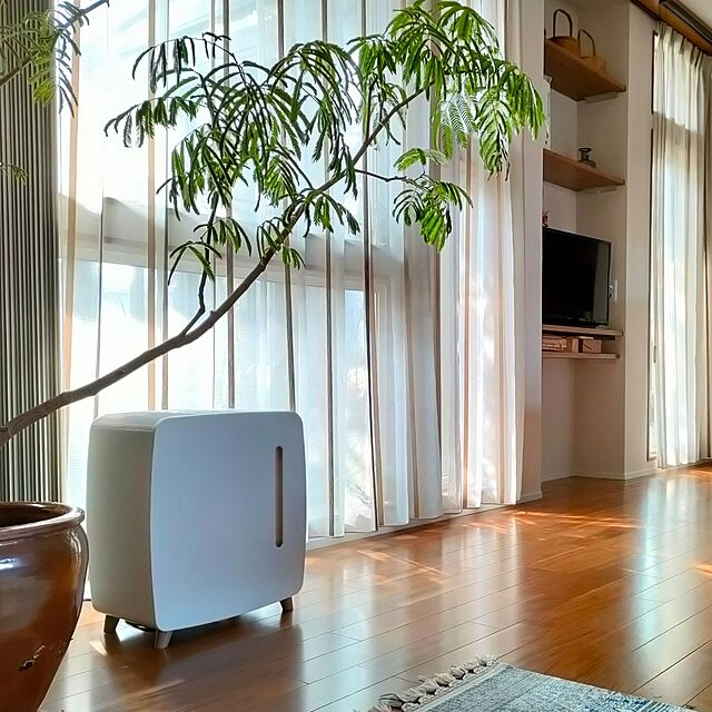 hana-のコロナ-コロナ　CORONA　ハイブリッド式加湿器 ［ハイブリッド(加熱＋気化)式］ ホワイト　UF-HV123Rの家具・インテリア写真