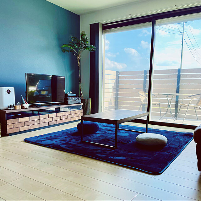 Yumi-springのニトリ-モチモチクッション(N40R NV) の家具・インテリア写真
