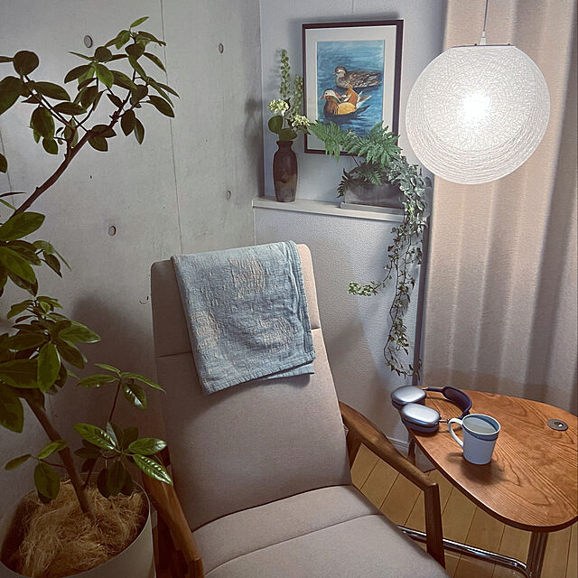 umai-bの-おしゃれ　観葉植物：斑入りフランスゴムの木*プラポット　受皿付の家具・インテリア写真