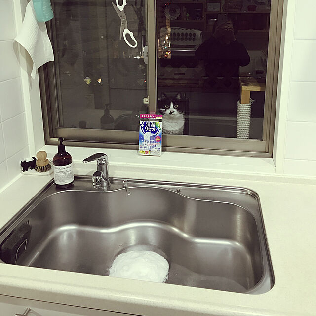 chirotanの-ルックプラス 清潔リセット 排水口まるごとクリーナーキッチン用 1個（2包入り） ライオンの家具・インテリア写真