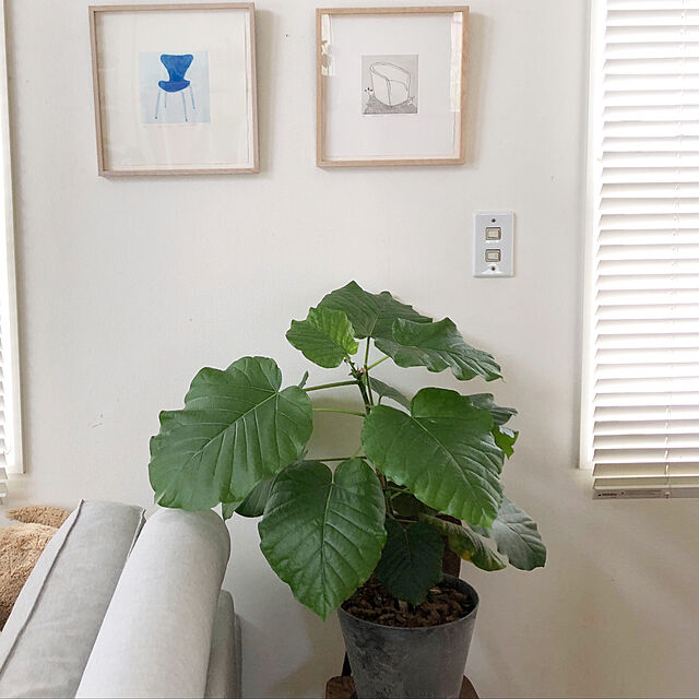 mizkuroの-プランター 植木鉢 アマブロ アートストーン Sサイズ AMABRO ART STONEの家具・インテリア写真